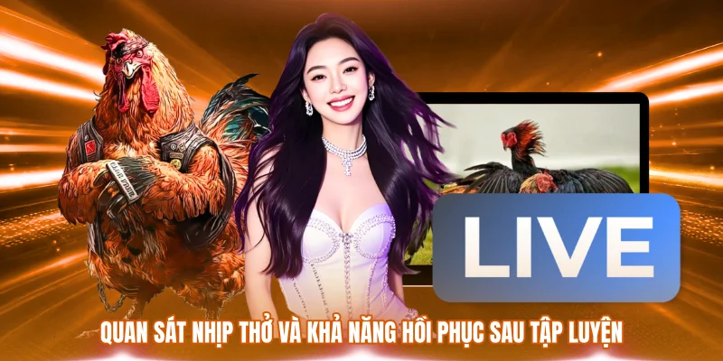 Quan sát nhịp thở và khả năng hồi phục sau tập luyện