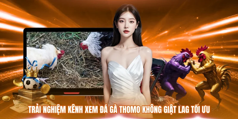 Kênh Xem Đá Gà Thomo Không Giật Lag - Chuẩn HD Trọn Vẹn 2 Trải nghiệm kênh xem đá gà Thomo không giật lag tối ưu